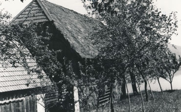 eika image